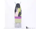 Ironing board (Calor)