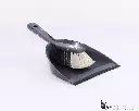 Dustpan and brush