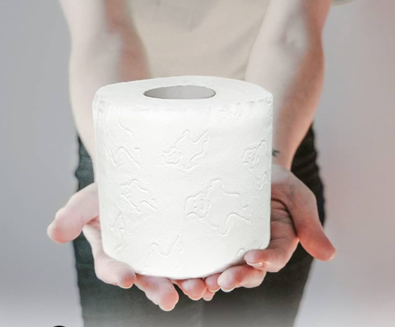 Papier Toilette double épaisseur (60 rouleaux)