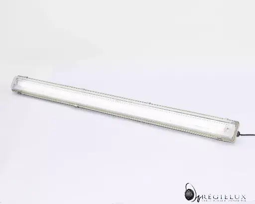[REG0042] Néon 120 cm